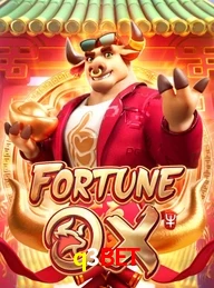 Q3BET.COM